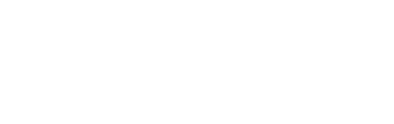 Tech Guru